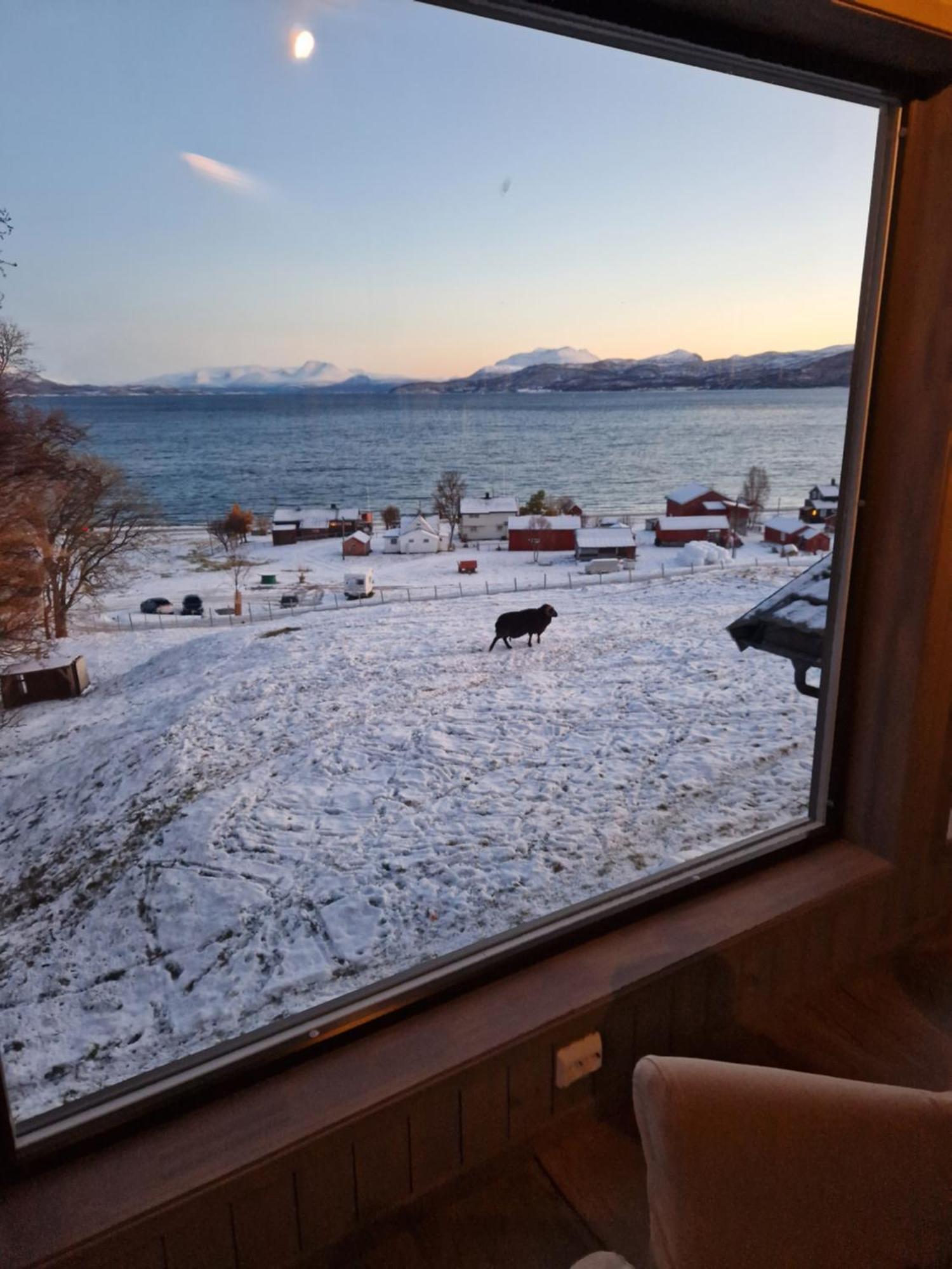 Yggdrasil Farmhotel Retreat, Spa & Yoga Straumsbukta Luaran gambar