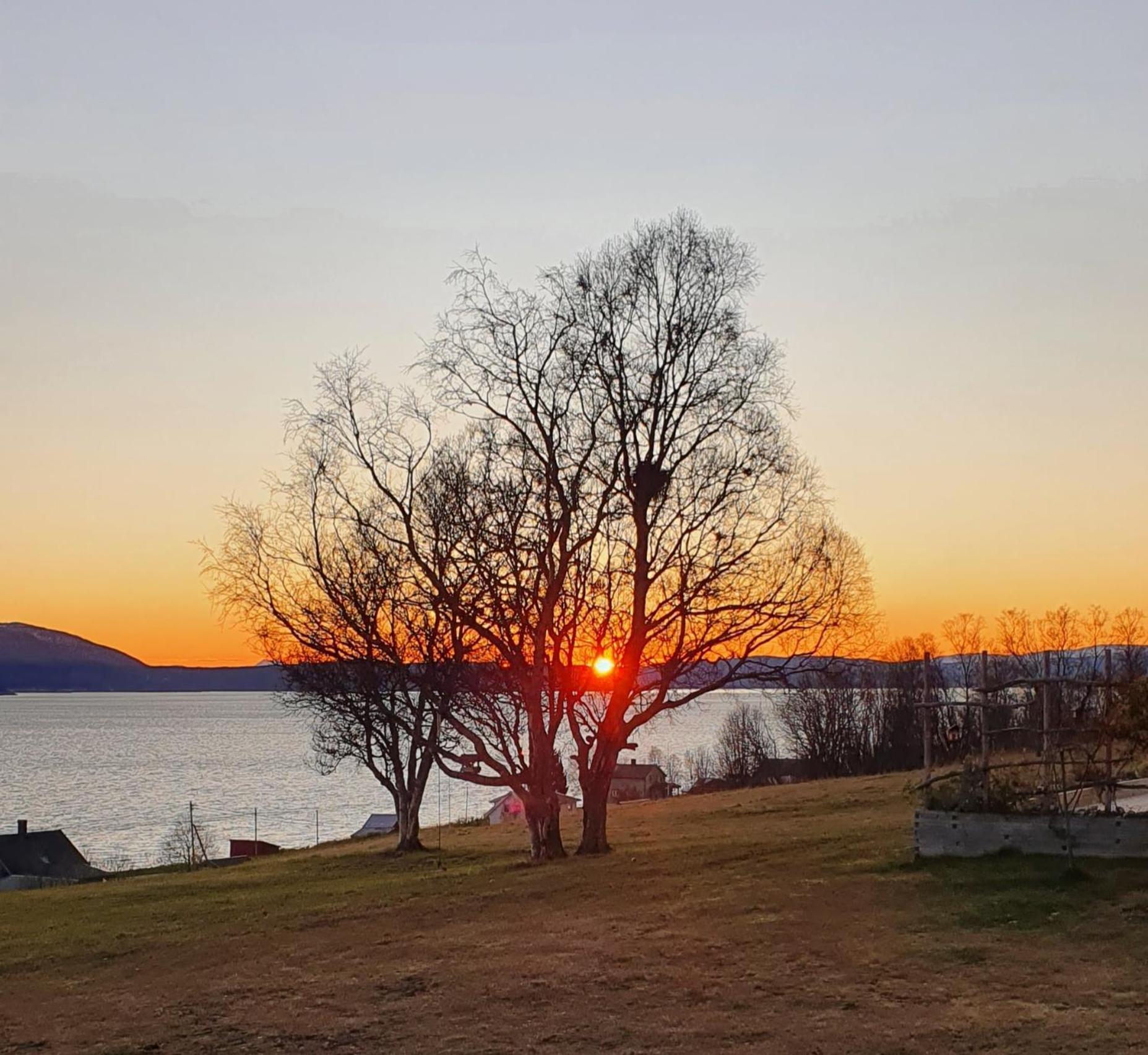 Yggdrasil Farmhotel Retreat, Spa & Yoga Straumsbukta Luaran gambar