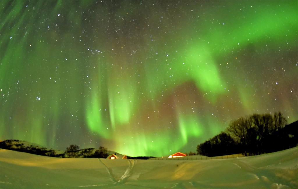 Yggdrasil Farmhotel Retreat, Spa & Yoga Straumsbukta Luaran gambar