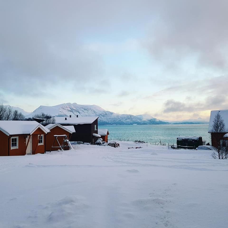 Yggdrasil Farmhotel Retreat, Spa & Yoga Straumsbukta Luaran gambar